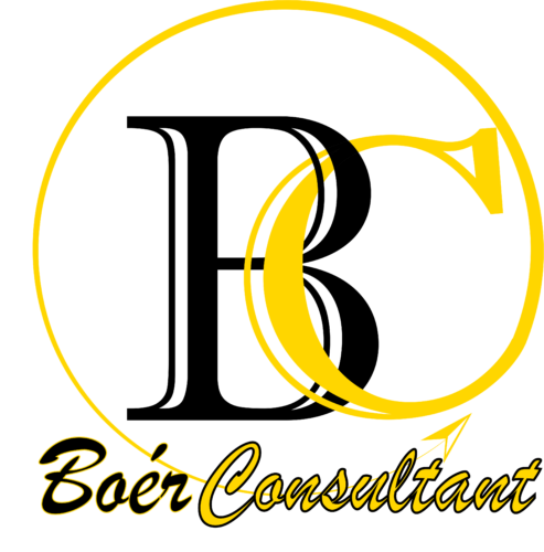 Boér Consultant webhelyüzemeltető logója
